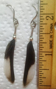 feather Chickadee real bird feather bird lover nature lover birder birthday gift drop earrings Maine state bird free gift box
